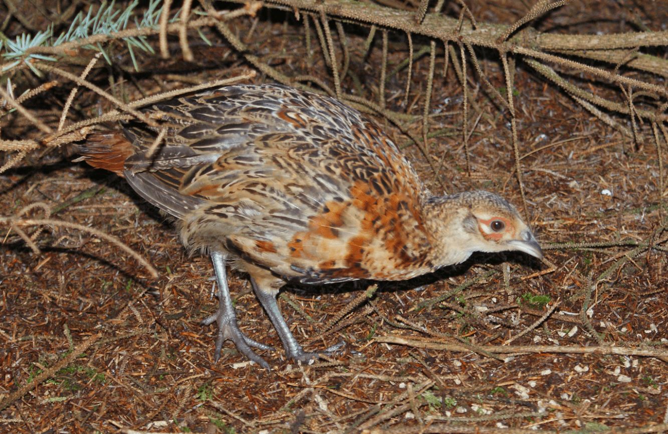 Screen Shot 2016-09-05 at 10.42.31