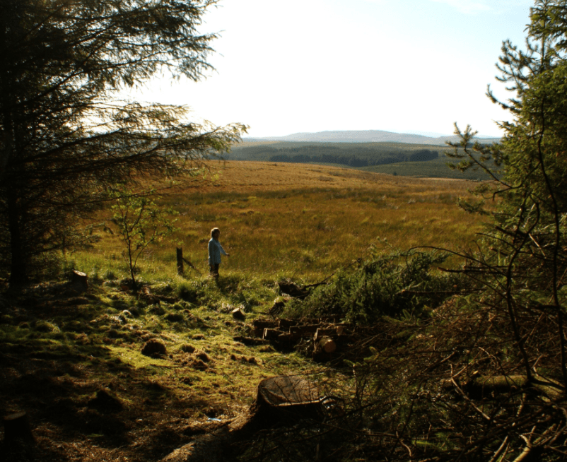 screen-shot-2016-10-09-at-12-58-36