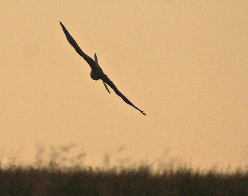 screen-shot-2016-10-09-at-13-37-51