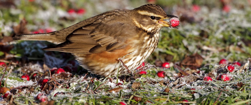 screen-shot-2016-10-09-at-13-48-41