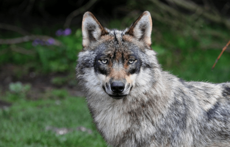 screen-shot-2016-12-03-at-20-32-06