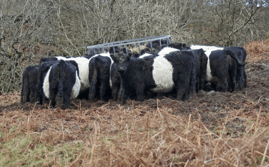 Screen Shot 2016-12-05 at 17.36.10.png