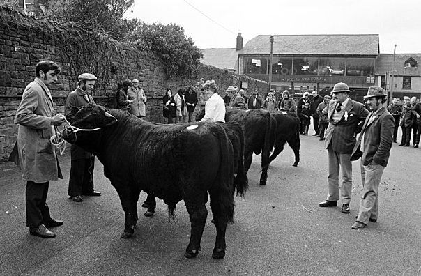 screen-shot-2017-01-15-at-14-14-27