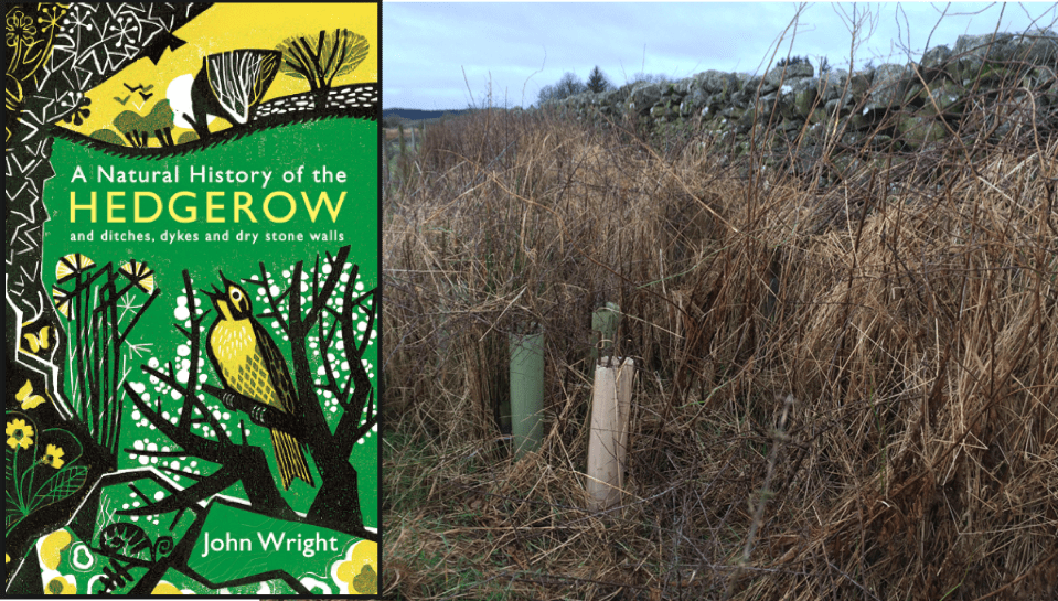 screen-shot-2017-01-16-at-13-47-34