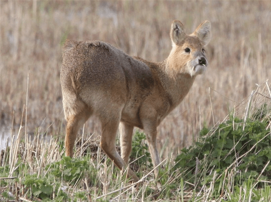 Screen Shot 2017-02-02 at 13.41.54.png