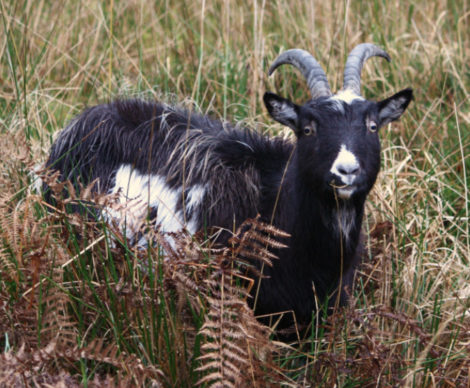 Screen Shot 2017-03-01 at 13.25.56.png