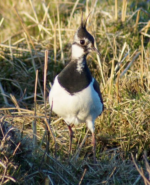 Screen Shot 2017-03-15 at 19.20.39