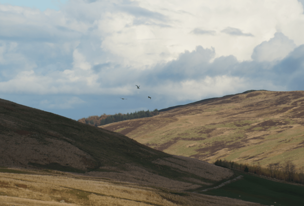 Screen Shot 2017-04-01 at 21.42.51