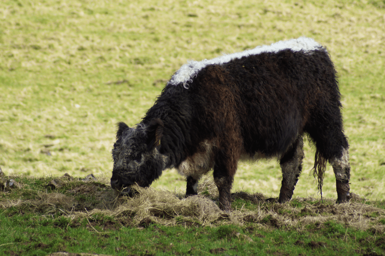 Screen Shot 2017-04-02 at 19.43.28