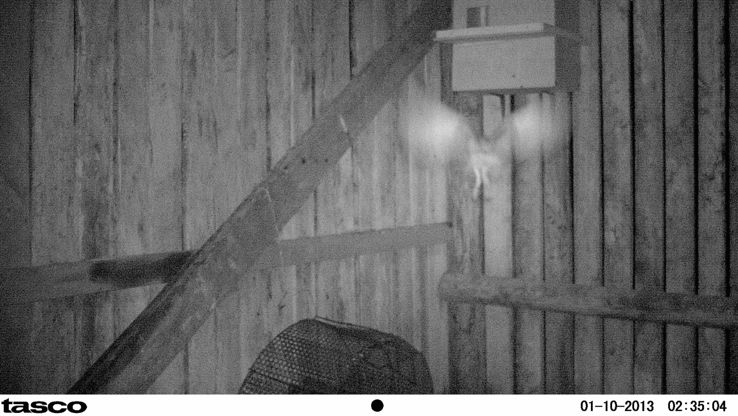 Screen Shot 2017-04-22 at 17.47.01