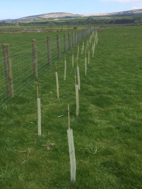 Screen Shot 2017-05-05 at 15.54.32.png