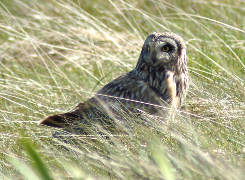 Screen Shot 2017-05-29 at 21.38.19