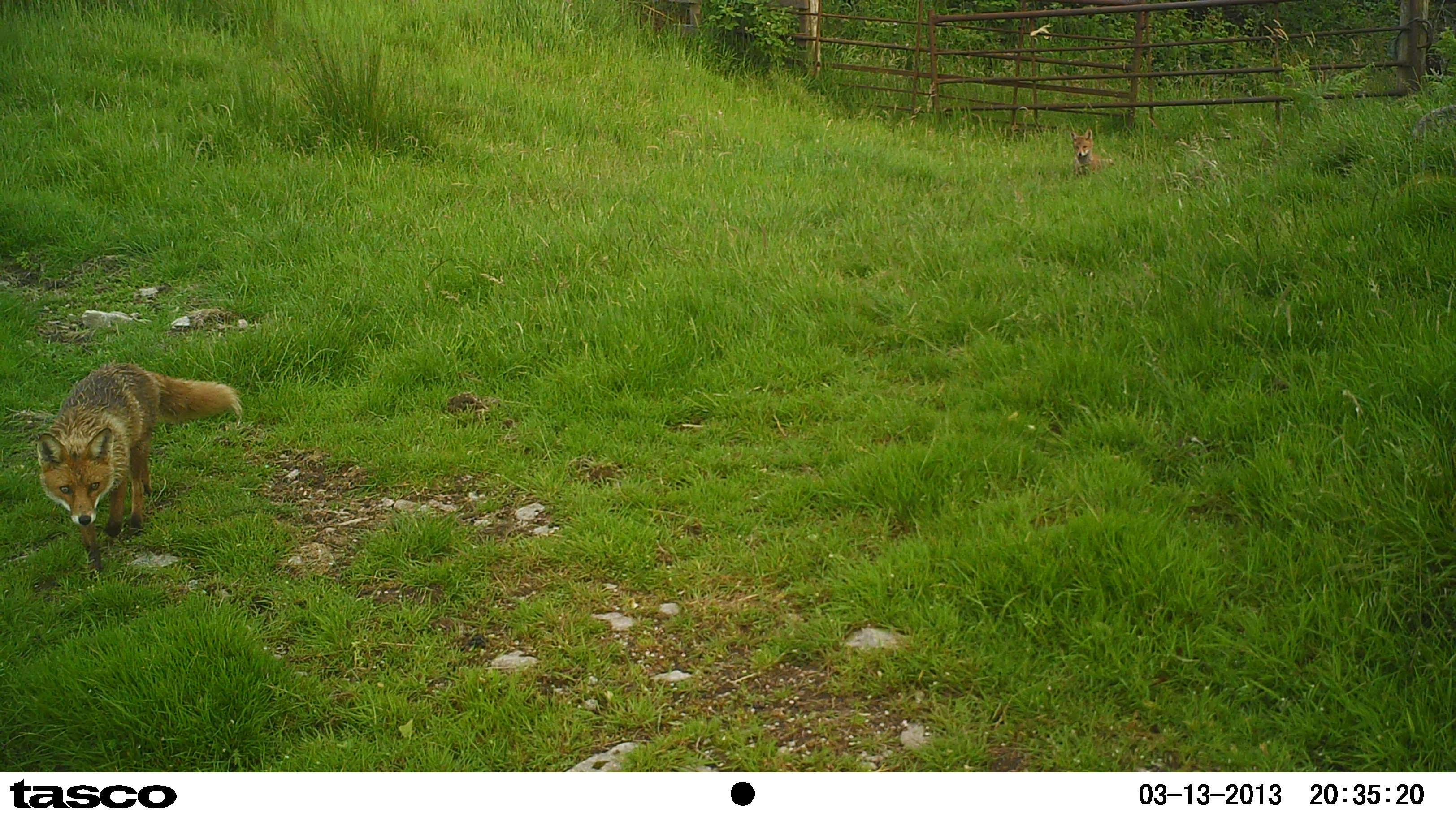 M2E70L169-169R379B343