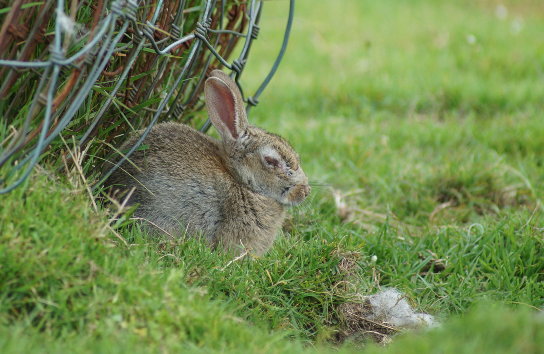 Screen Shot 2017-07-06 at 11.41.30