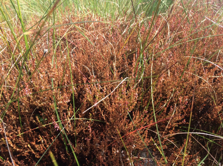 Screen Shot 2017-08-09 at 19.05.07