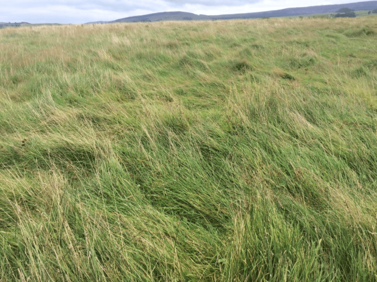 Screen Shot 2017-08-27 at 12.29.47