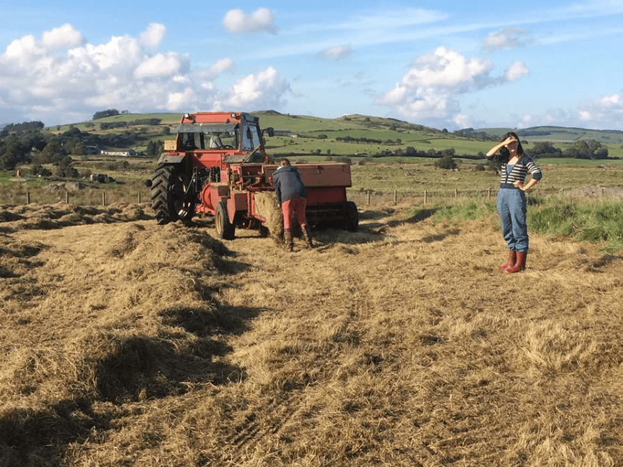 Screen Shot 2017-09-06 at 20.46.08