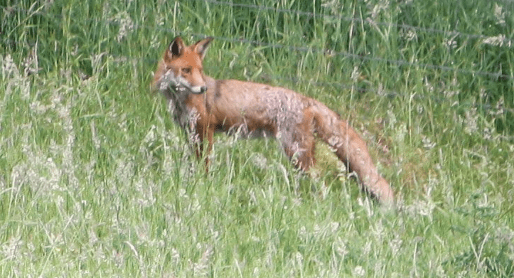 Screen Shot 2017-09-21 at 14.18.44