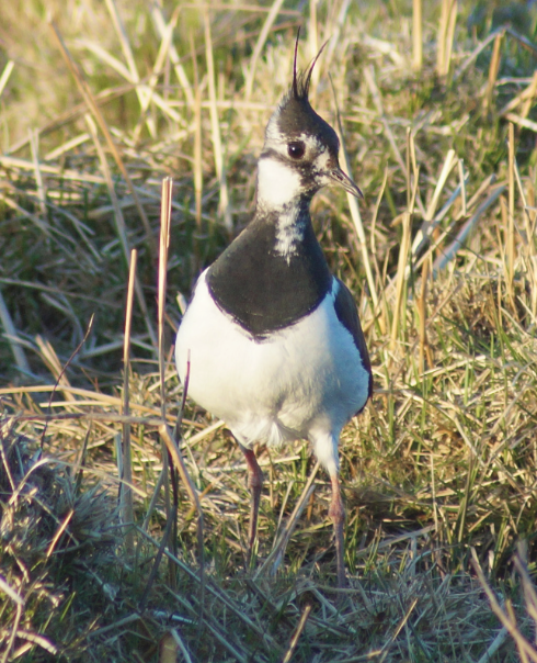 Screen Shot 2017-09-26 at 12.19.23