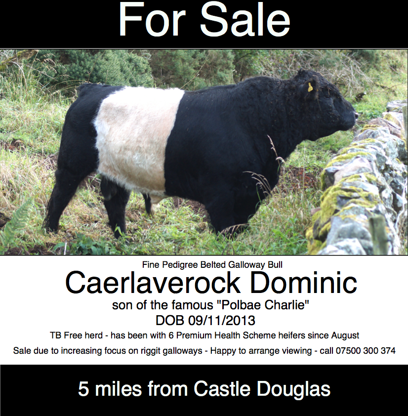 Screen Shot 2017-10-12 at 12.18.16