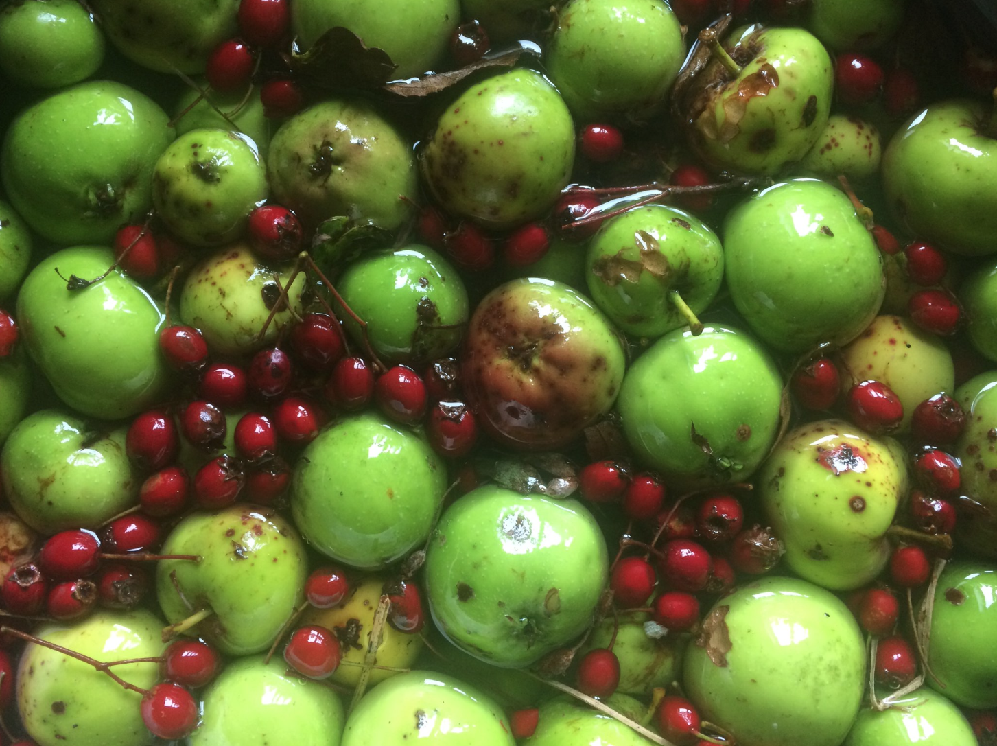 Screen Shot 2017-10-16 at 09.45.01