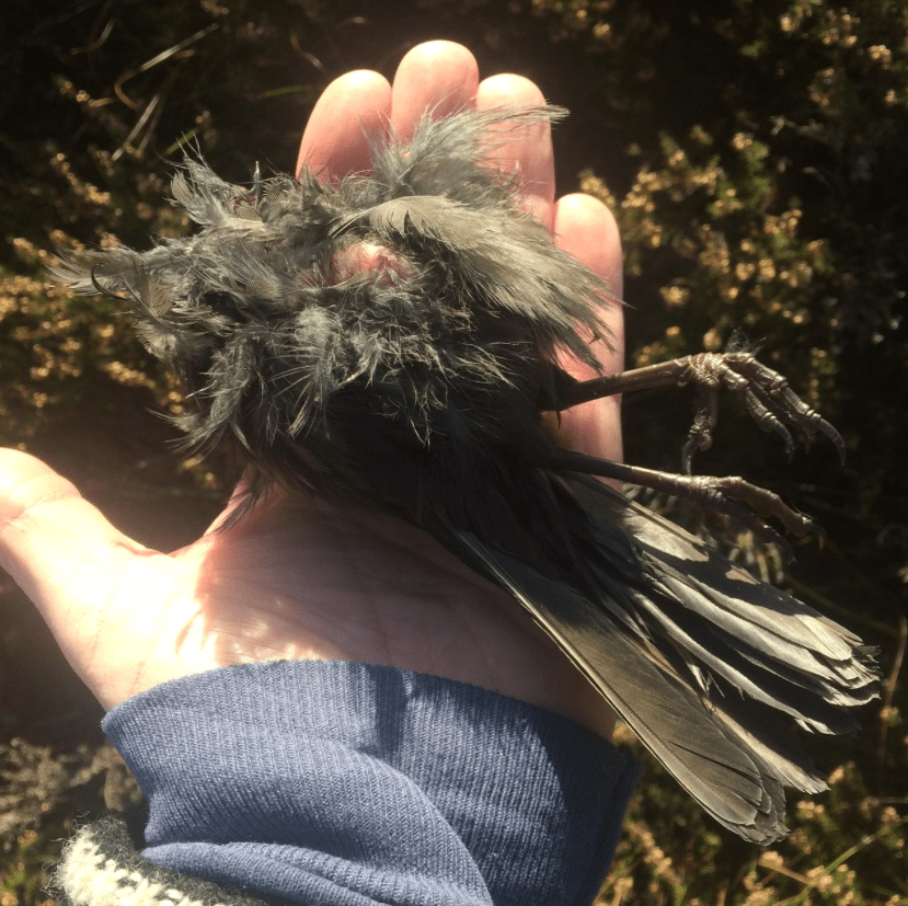 Screen Shot 2017-10-29 at 18.10.40.png