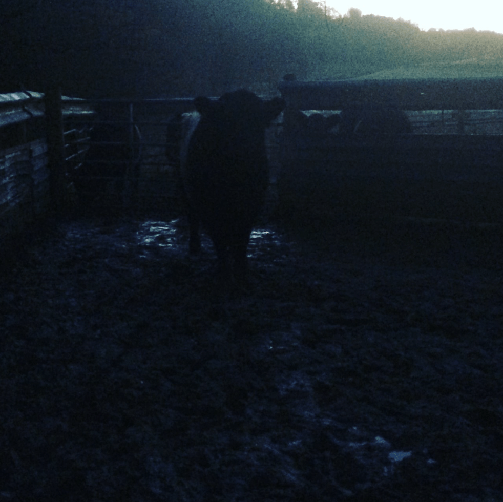 Screen Shot 2017-10-31 at 15.34.30