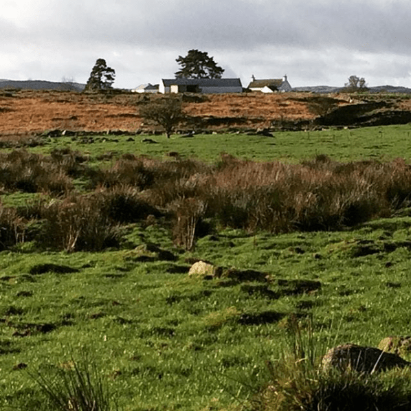 Screen Shot 2017-11-07 at 17.50.45