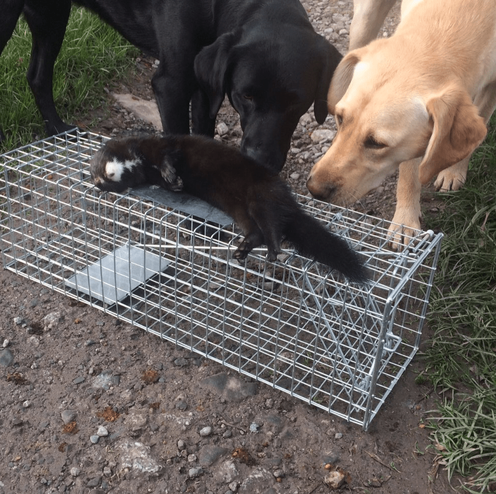 Screen Shot 2017-11-11 at 18.11.38