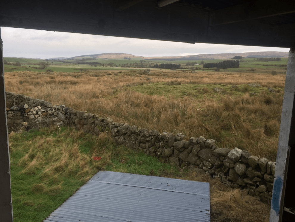 Screen Shot 2017-11-12 at 12.56.39