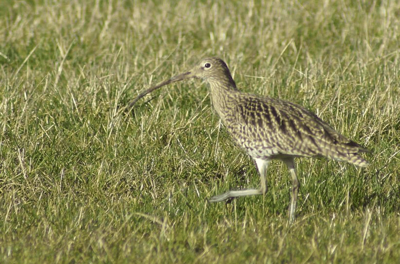 Screen Shot 2017-11-14 at 19.03.24