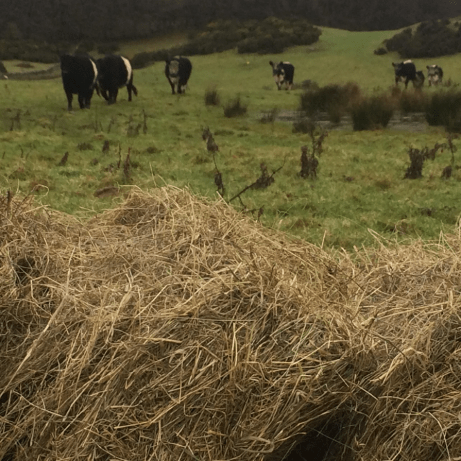 Screen Shot 2017-12-15 at 19.17.00