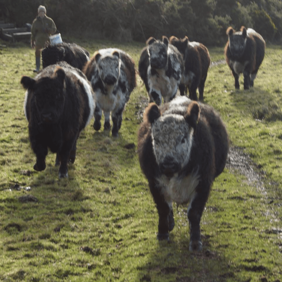 Screen Shot 2017-12-20 at 13.36.44