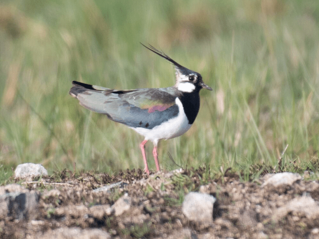 Screen Shot 2018-01-27 at 20.09.51