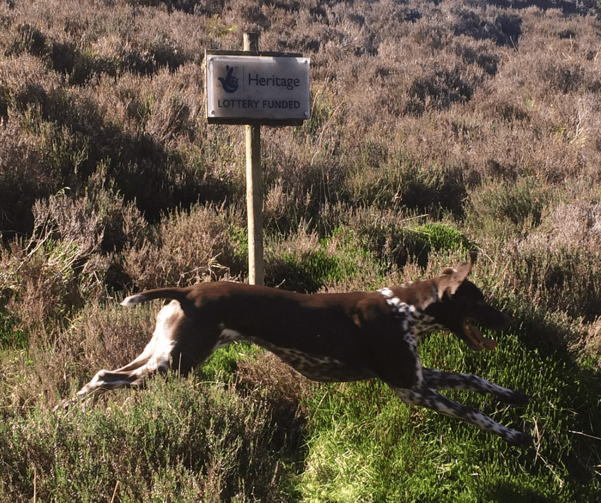 Screen Shot 2018-04-10 at 18.05.35