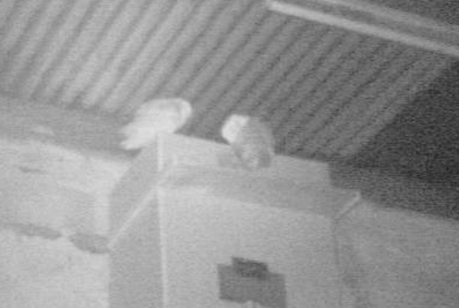 Screen Shot 2018-04-13 at 17.47.11