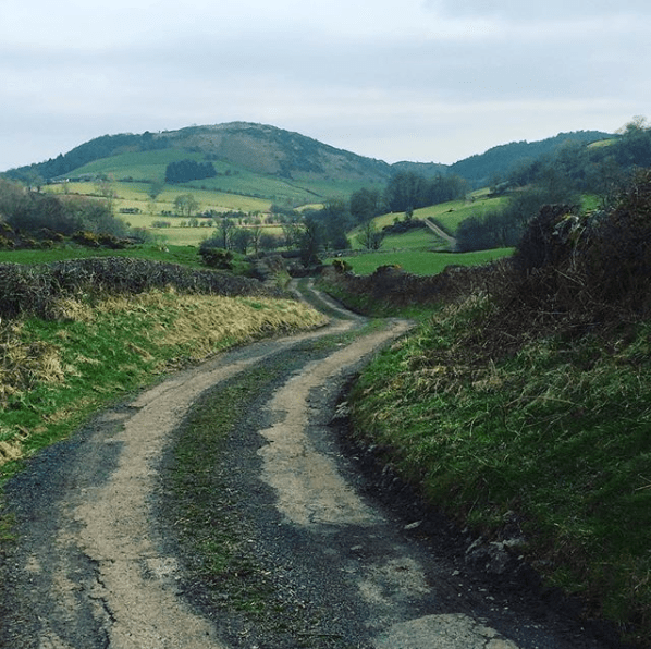 Screen Shot 2018-04-29 at 15.17.45