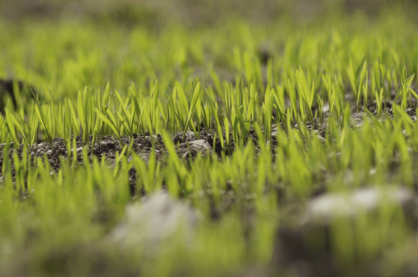 Screen Shot 2018-05-10 at 15.44.06