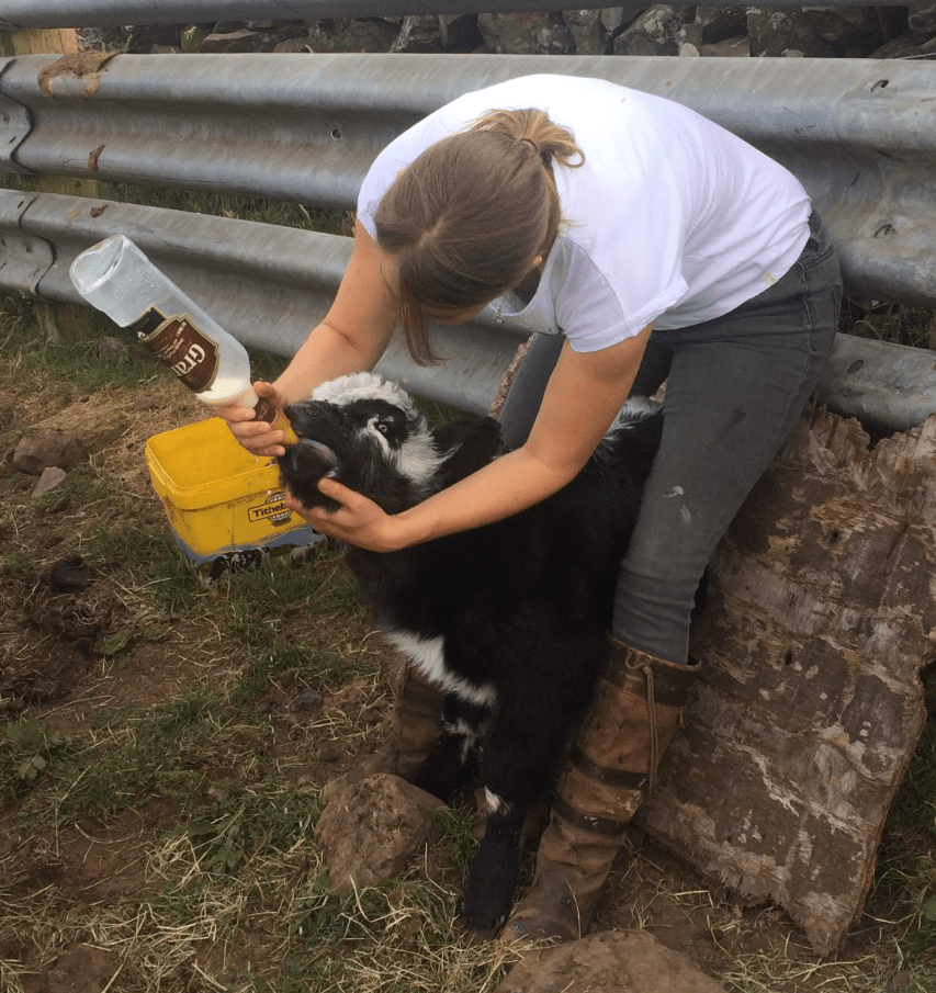 Screen Shot 2018-07-13 at 10.21.02