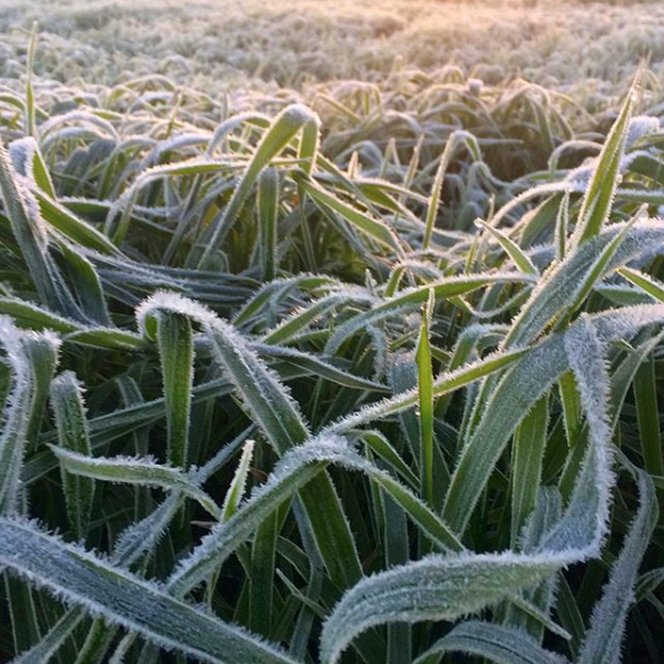 Screen Shot 2018-11-01 at 18.55.24