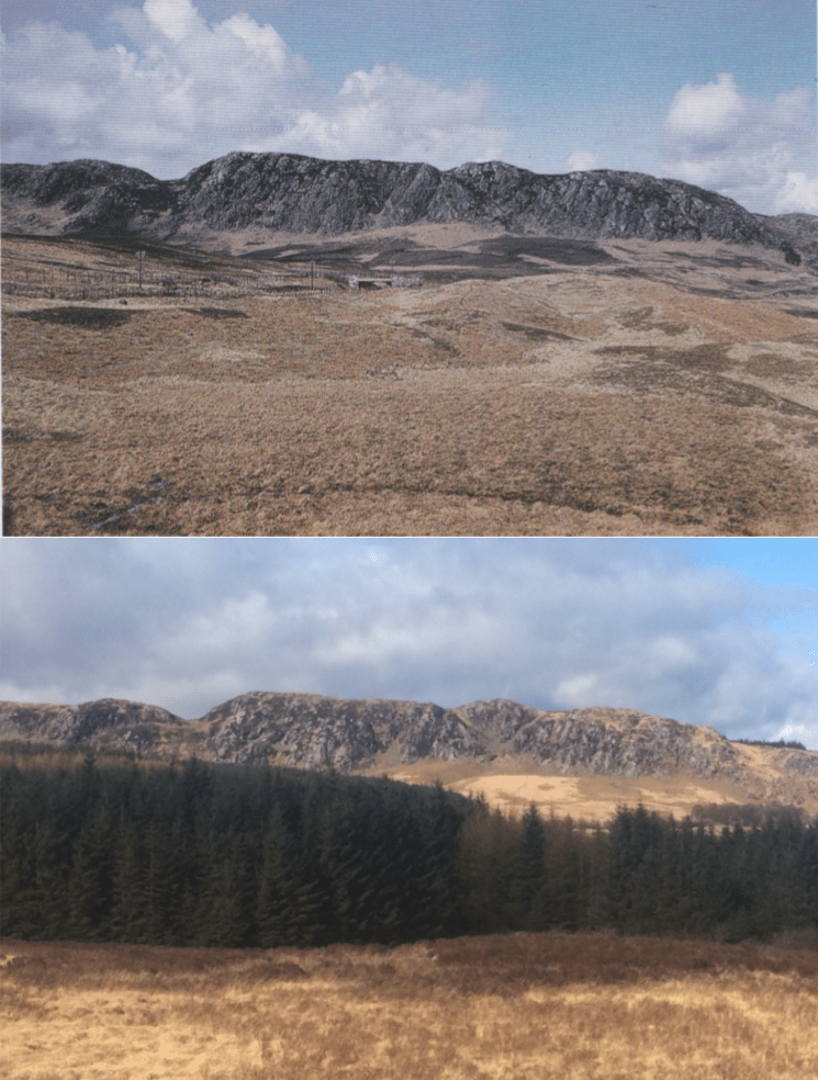 Screen Shot 2019-03-20 at 11.13.16