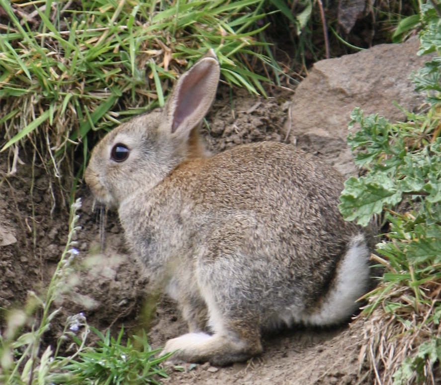 Screen Shot 2019-03-20 at 18.37.59