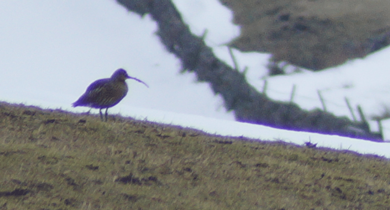 Screen Shot 2019-04-05 at 14.28.04