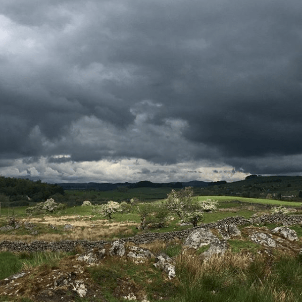 Screen Shot 2019-05-20 at 08.17.53