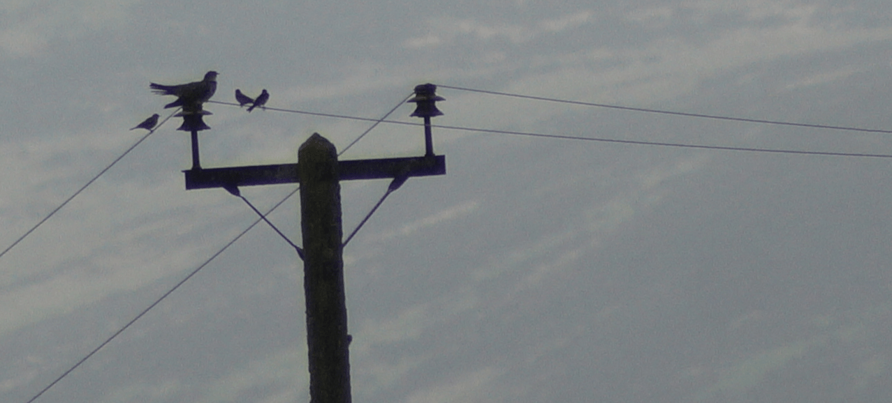 Screen Shot 2019-05-25 at 18.44.50