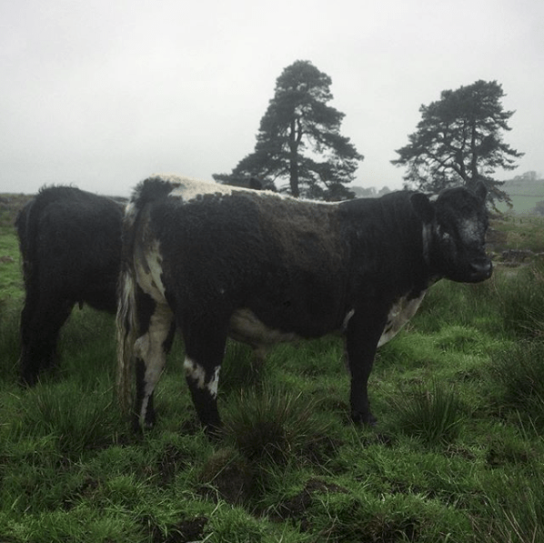 Screen Shot 2019-06-01 at 18.30.18