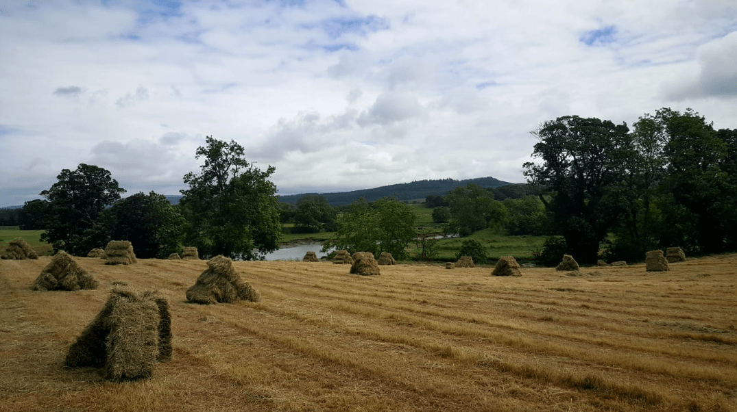 Screen Shot 2019-07-05 at 17.51.52