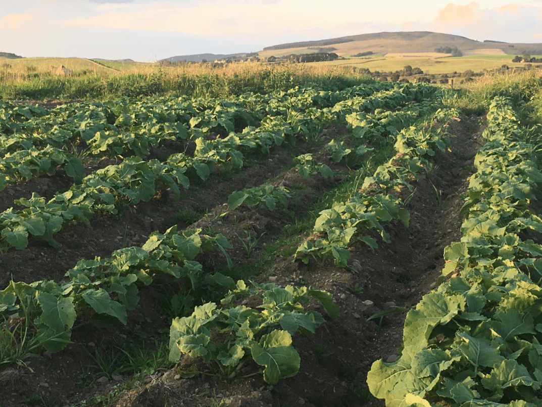 Screen Shot 2019-07-06 at 22.16.32.png