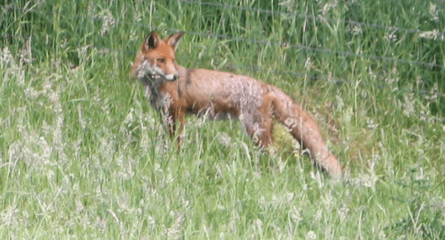 Screen Shot 2019-08-08 at 14.51.42