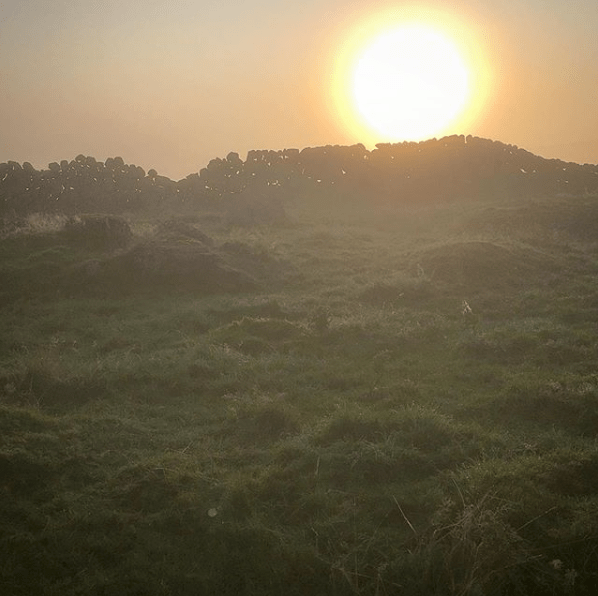 Screen Shot 2019-08-13 at 08.11.35